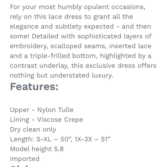 Nataya #2101 “Victorian Lux Lace” Titanic Tea Dress Size 1X Black & Taupe NWOT! - Picture 6 of 16